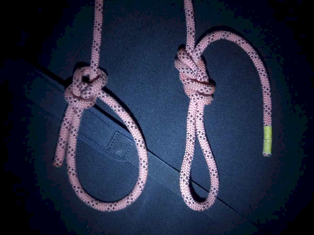 Image showing a bowline and figure of eight - both without a stopper knot.