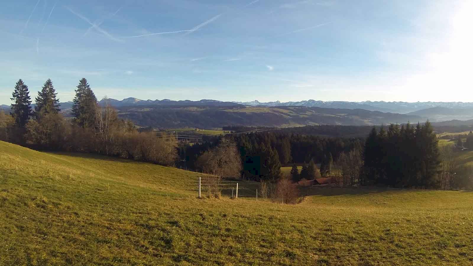 Scene of a lush green lower alpine grass slope with coniferous forest in the background and the faint peaks of the lower alps in the distance.