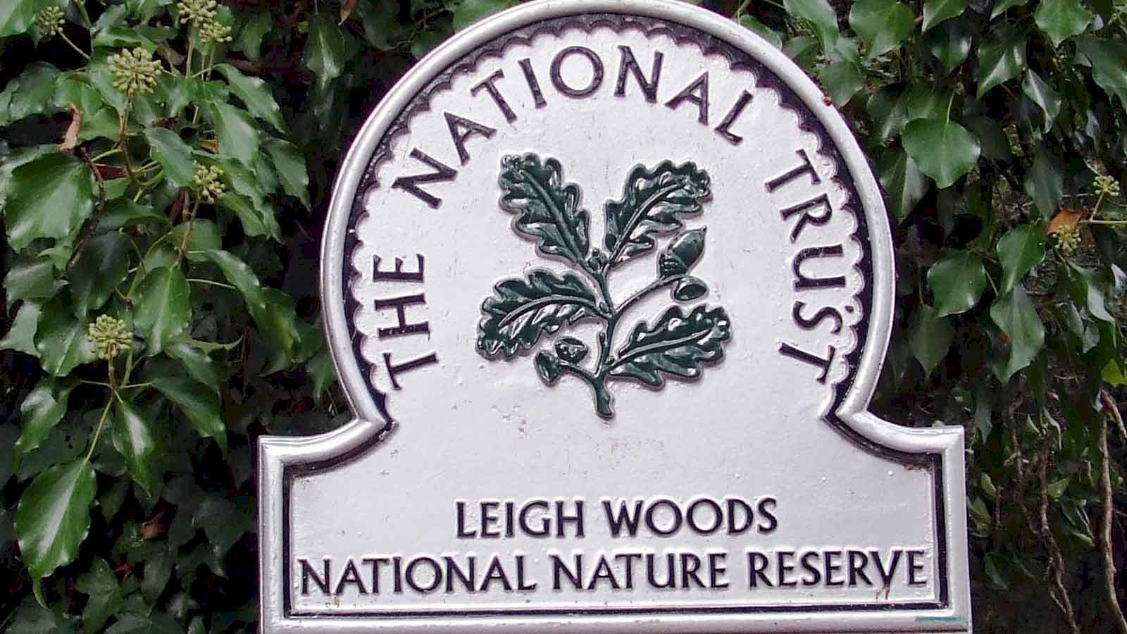 Picture showing the familiar national trust plaque for Leigh Woods National Nature Reserve.